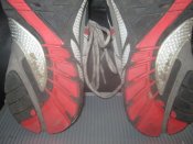 IMG_8853.JPG