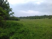 20180524_132003.jpg