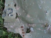 DSC00045.JPG