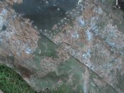 DSC00048.JPG