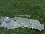 DSC00053.JPG