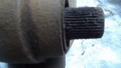 DSC07051.JPG