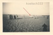 4xreppenpolenkranichseg3.jpg