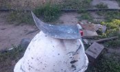20180606_190627.jpg