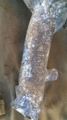 WP_20180607_17_17_05_Pro.jpg