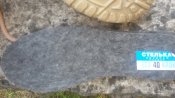 20180605_180114.jpg