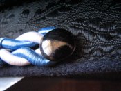 IMG_1827.JPG