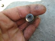 IMG_20180608_144258.jpg
