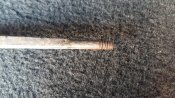 20180608_184045.jpg