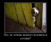 1506320946_demotivatory-1.jpg
