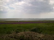 27052012731.jpg