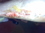 270520121022.jpg