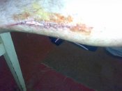 270520121023.jpg