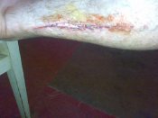 270520121024.jpg