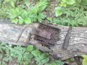 2012-05-26-075.jpg