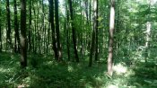IMG_20180610_150850.jpg