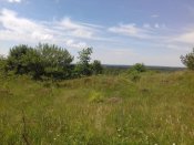 20180610_124914.jpg