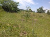 20180610_124918.jpg