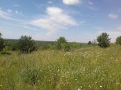 20180610_124924.jpg