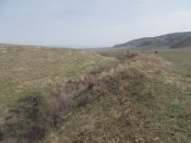 DSCN0809.JPG