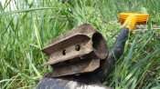 20180514_121504.jpg