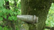 20180514_133003.jpg