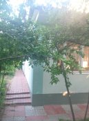 P80609-191449.jpg