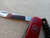 IMG_2018-06-11_111126.jpg