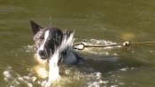 PIC_0539.JPG