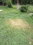 IMG_20180612_162807.jpg