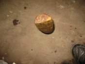 IMG_4572 (Small).jpg