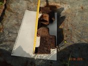 DSCN0522.JPG