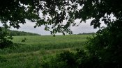 IMG_20180613_115747.jpg