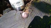 IMG_20180613_150410.jpg
