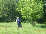 20117_1338221211.jpg