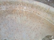 IMG_20180615_104955.jpg