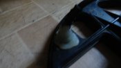DSC03691.JPG