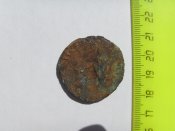 SDC14264.jpg