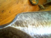 IMG0743A.jpg