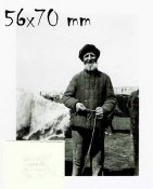 Stier in Russland.jpg