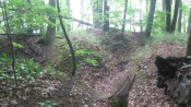 IMG_1591.JPG