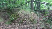 IMG_1594.JPG
