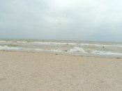 DSC05926.JPG