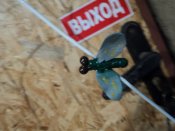 DSC05938.JPG