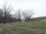 SDC14078.jpg