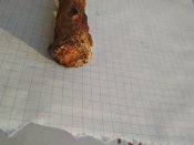 IMG_20180618_203300.jpg