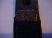 DSC01629.JPG