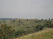 холм.1.2.jpg