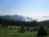 IMG_0601.JPG