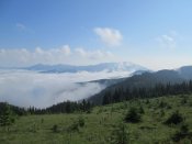 IMG_0608.JPG